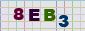 This is a captcha-picture. It is used to prevent mass-access by robots. (see: www.captcha.net)